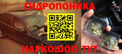 гидропоника Азнакаево