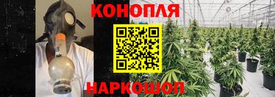 гидропоника Азнакаево