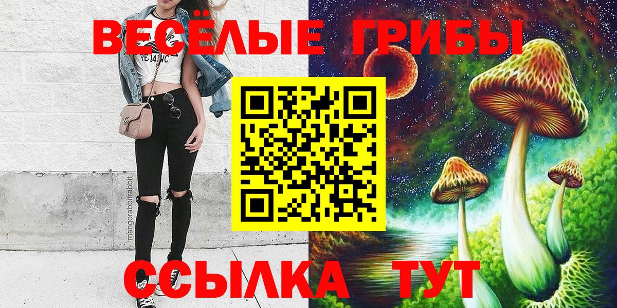 Александров  Галлюциногенные грибы Psilocybe  Вход с VPN 
