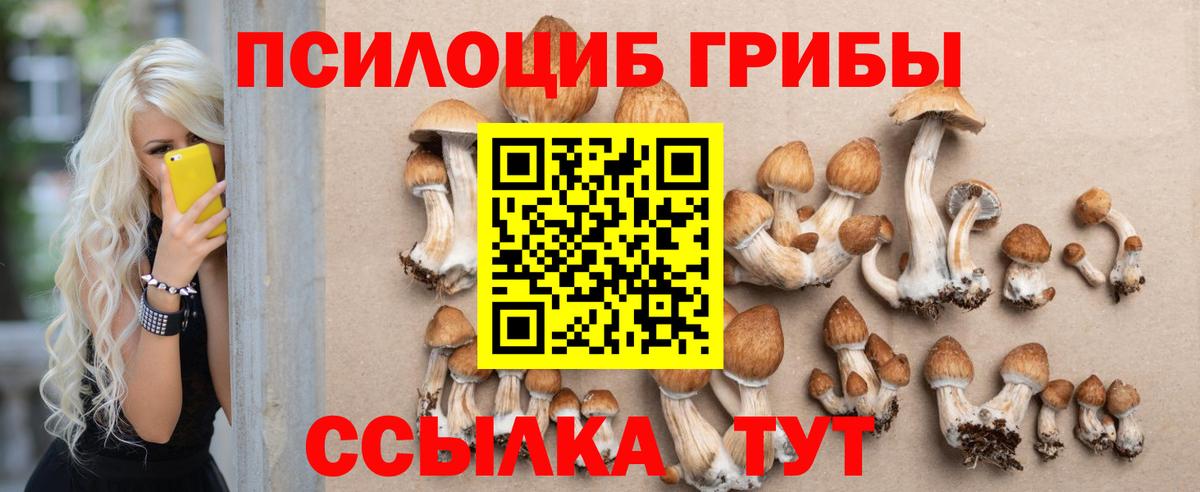 Галлюциногенные грибы MAGIC MUSHROOMS Александров